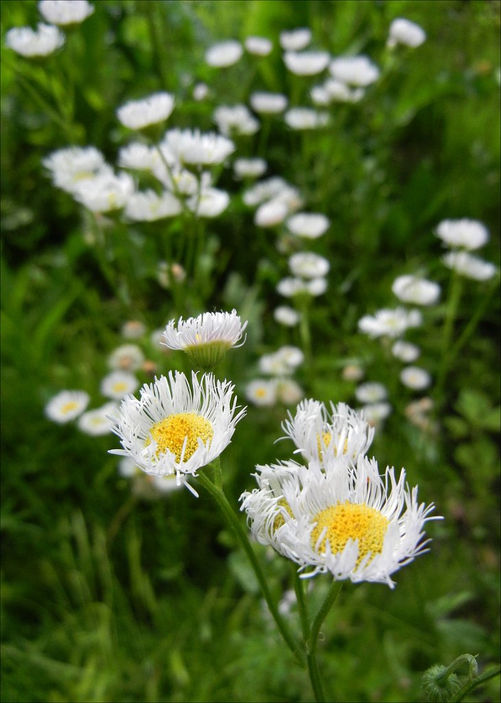 Along the Columbia Trail