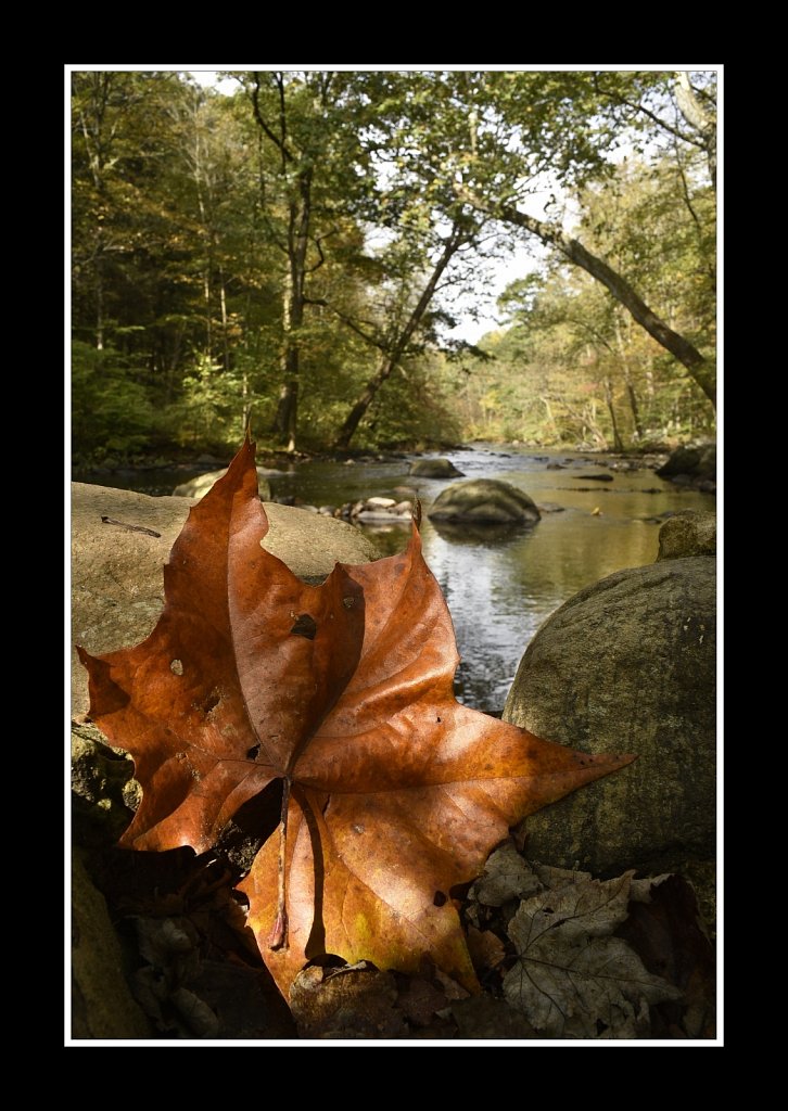 Falling Leaf (28mm)