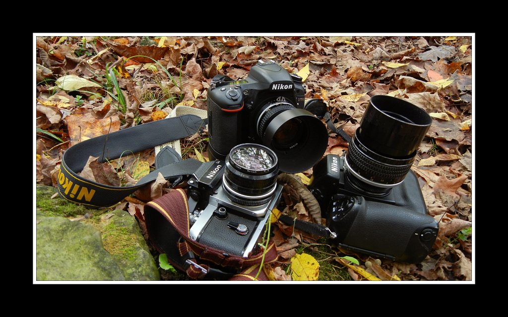 Nikon Generations