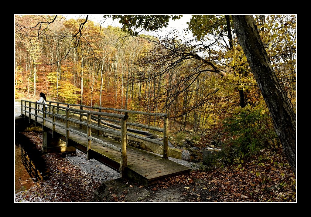 Bridge Over Electric Brook