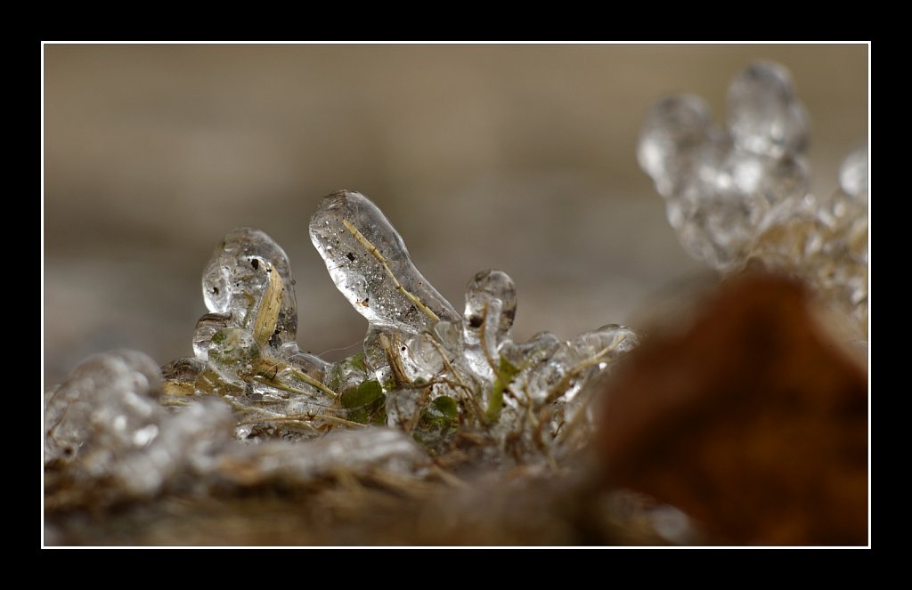Natur'e Ice Sculpture