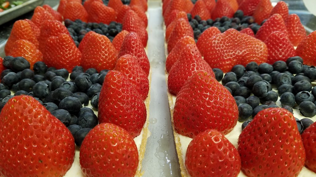 Project 365 + by Cheyenne Gigli