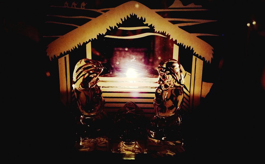 Project 365 + by Cheyenne Gigli