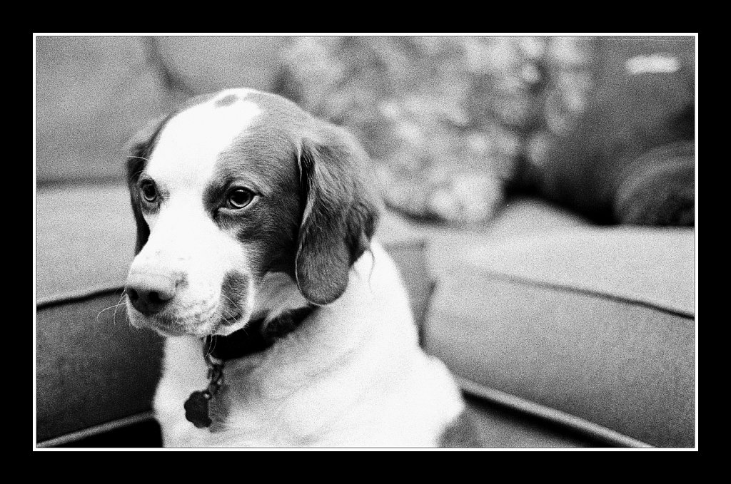 2018008F-Minolta-XD11-HP5-07.jpg