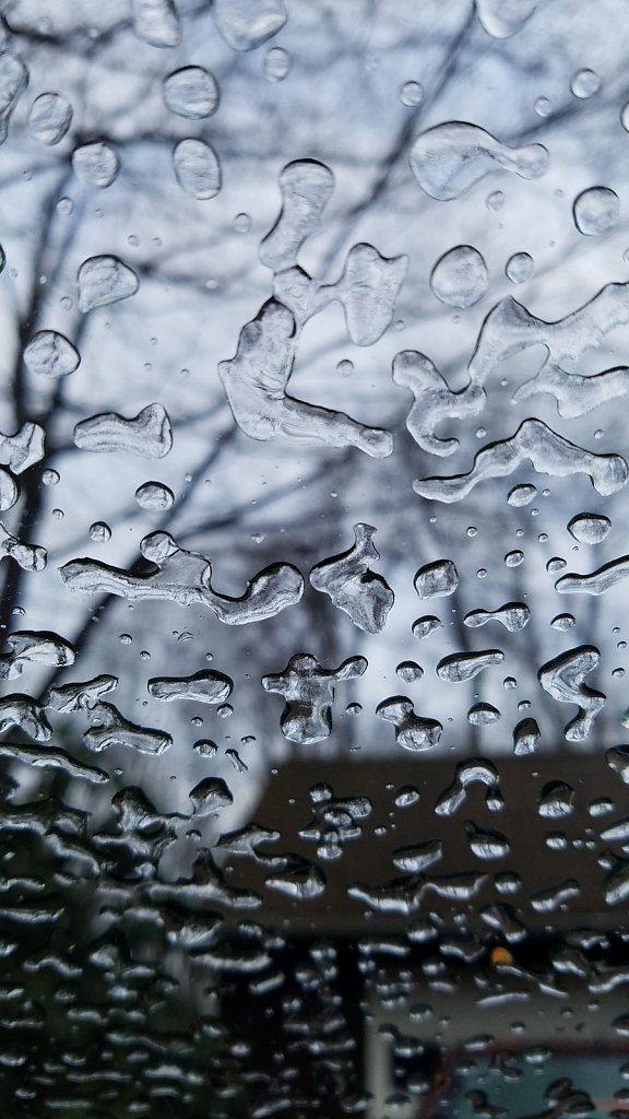 Project 365 + by Cheyenne Gigli