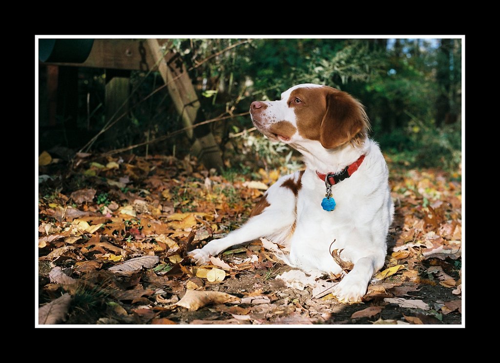 2017194F-Mamiya-1000-DTL-55mm1-4-Fuji-400-20171031.jpg