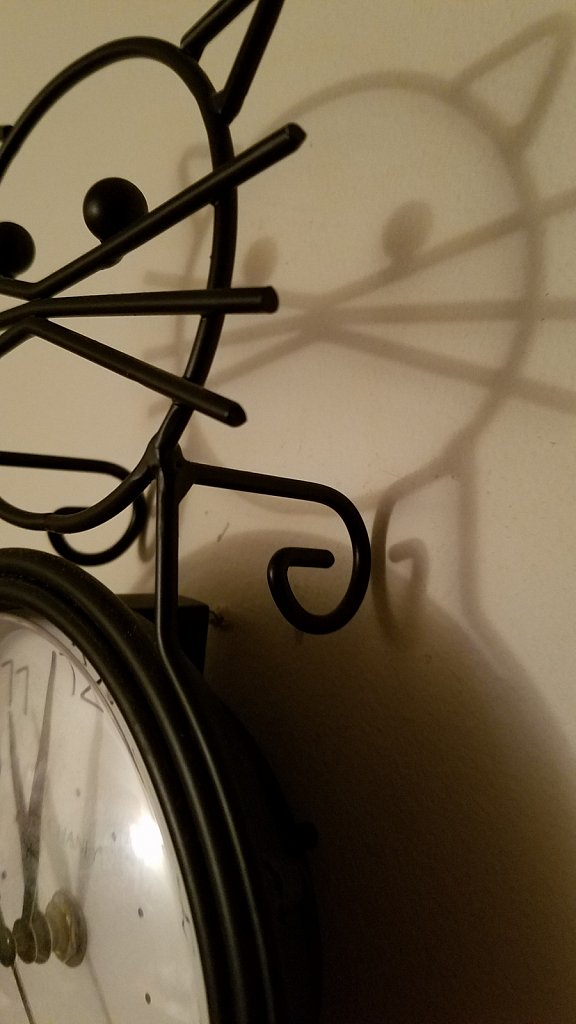 Project 365 + by Cheyenne Gigli