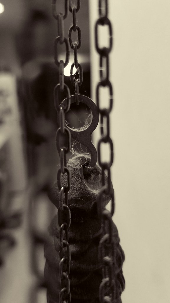 Project 365 + by Cheyenne Gigli