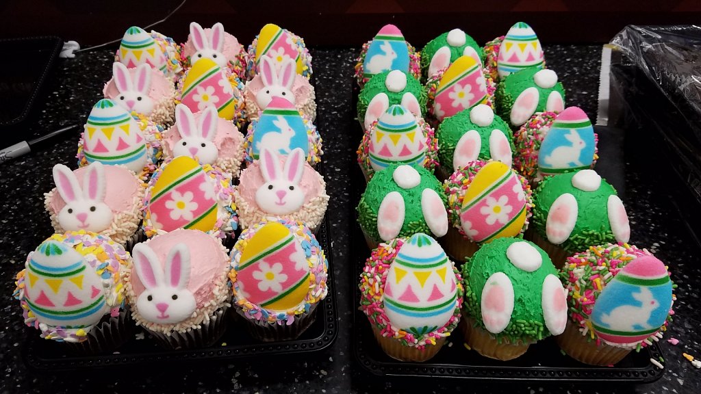 Project 365 + by Cheyenne Gigli