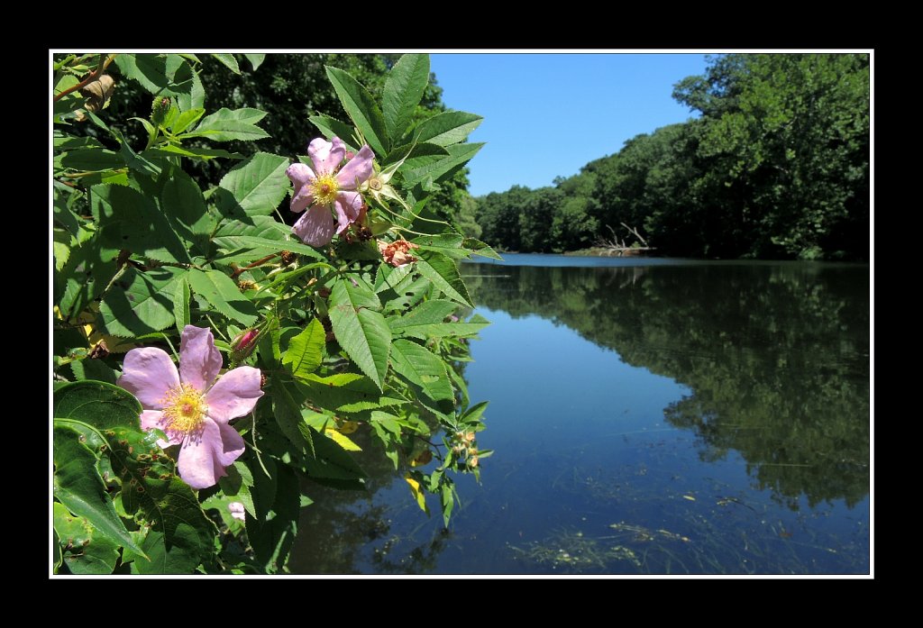 Morris Canal Saxton Falls