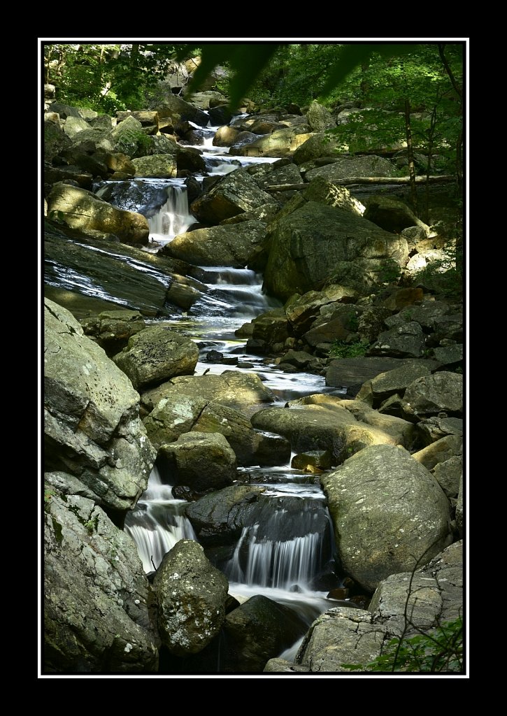 Schooley's Mountain County Park