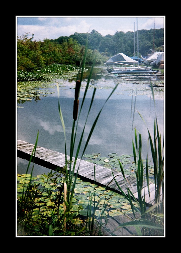 South Branch Raritan River