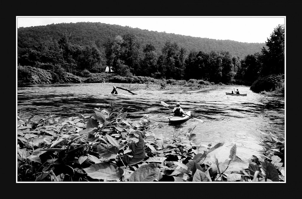 East Branch of the Delaware River