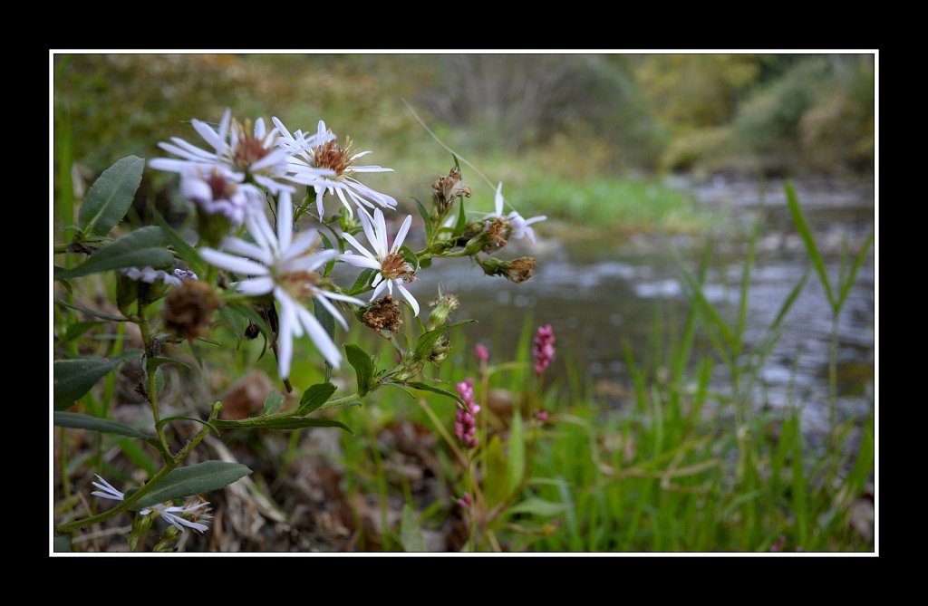 Hedden County Park