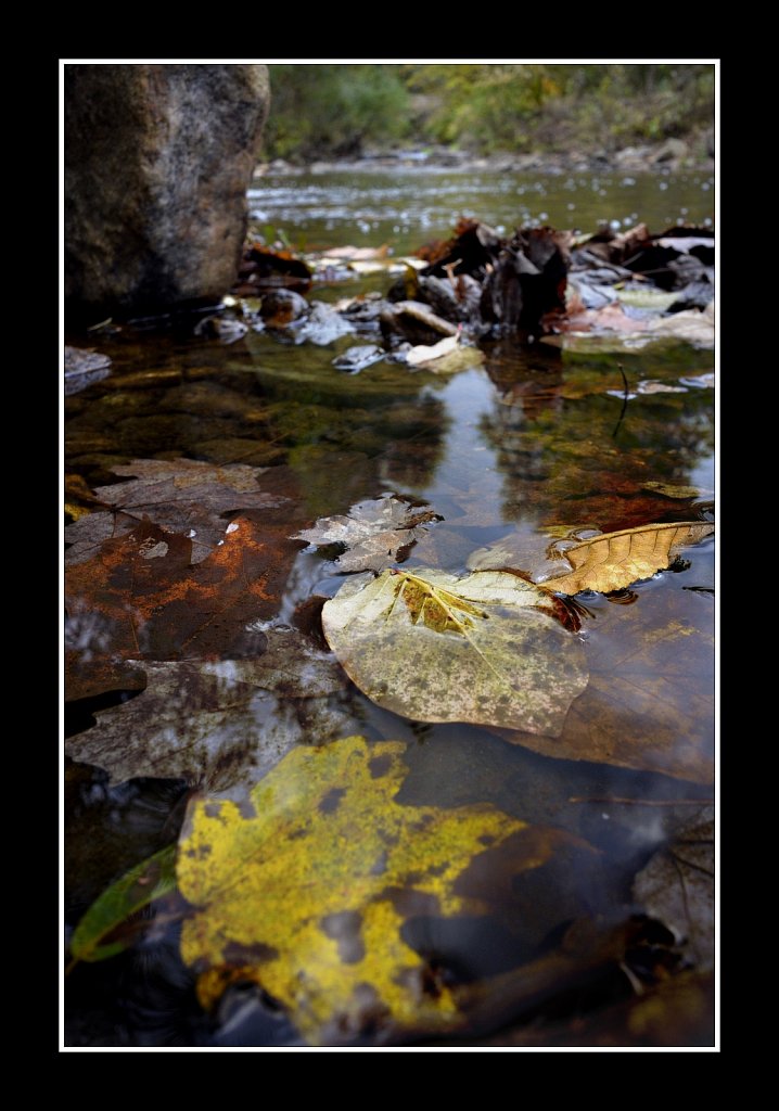 Hedden County Park