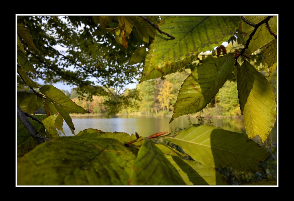 Hedden County Park