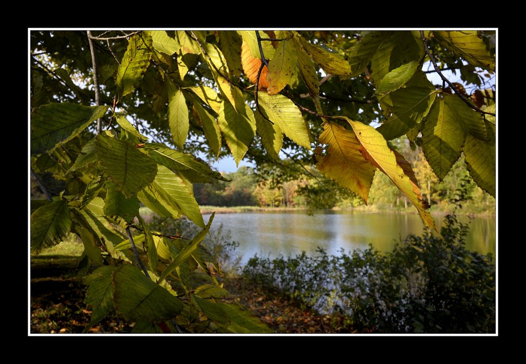 Hedden County Park