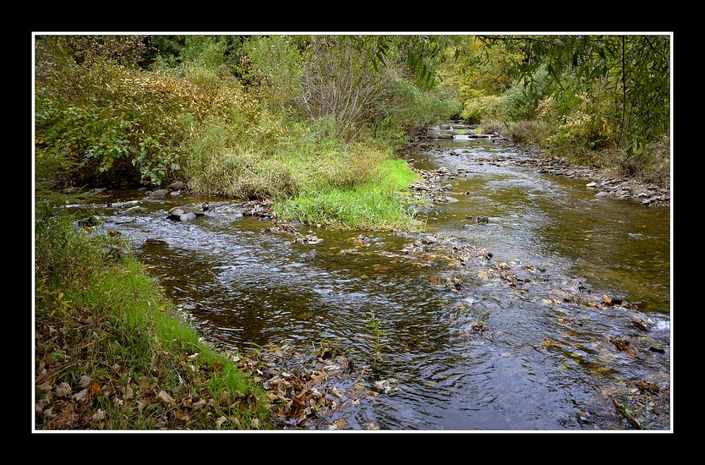 Hedden County Park
