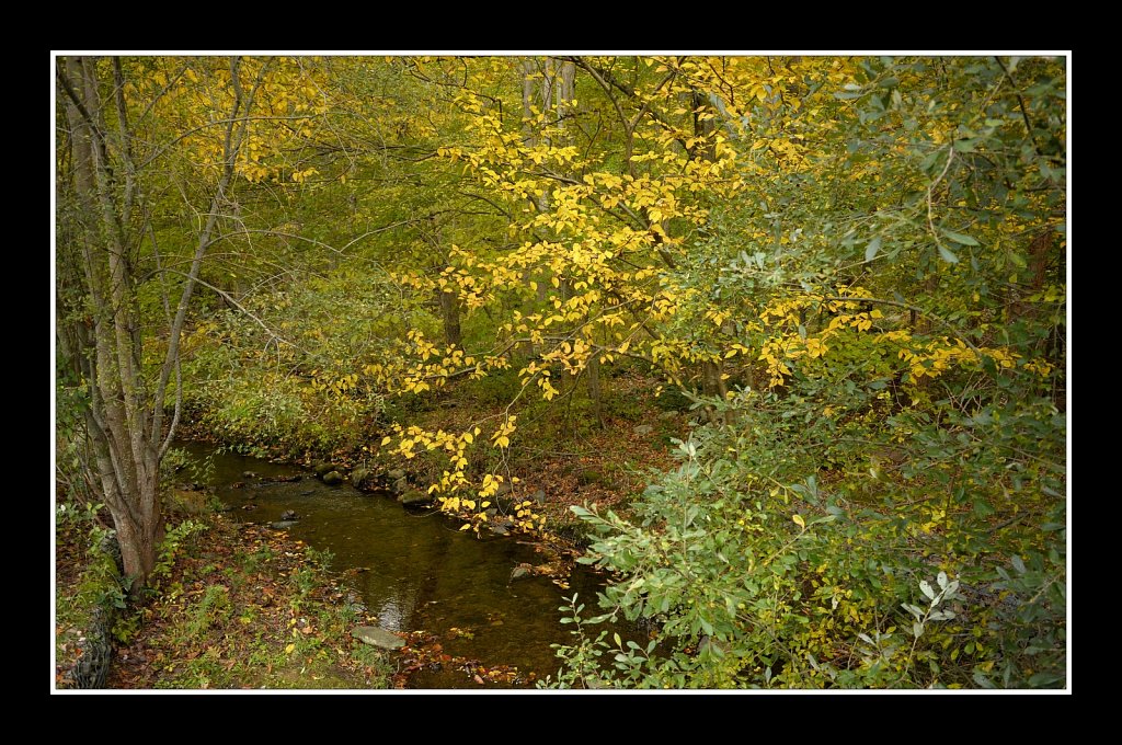 Hedden County Park