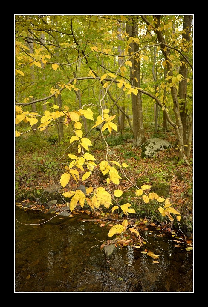 Hedden County Park