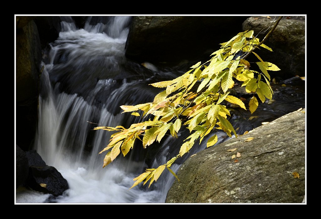 Schooley's Mountain Park