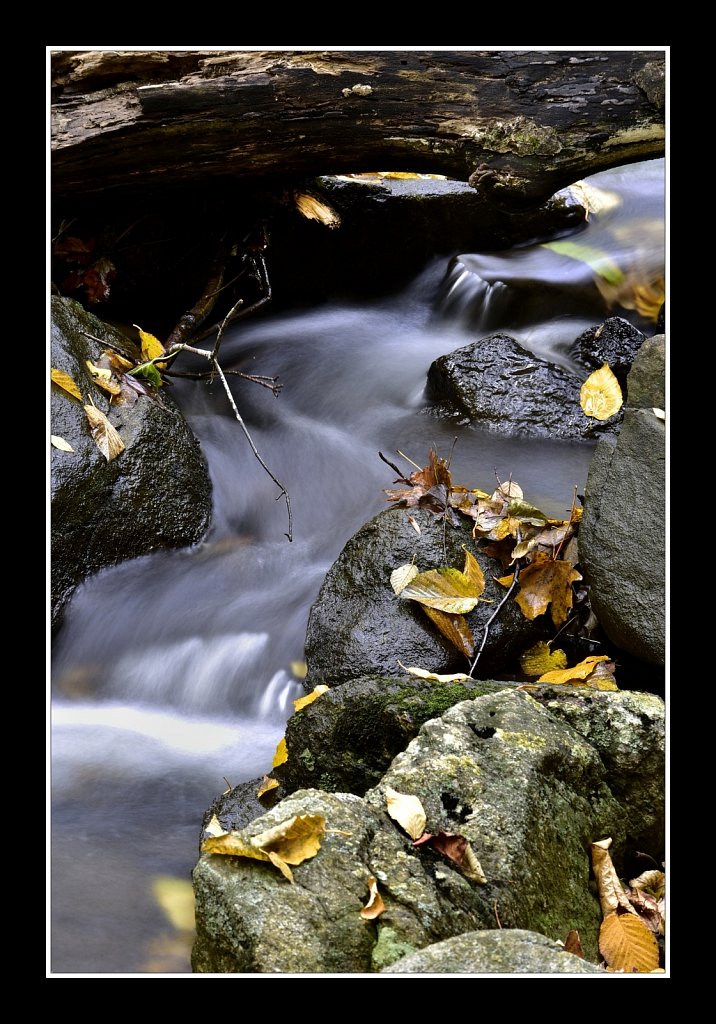 Schooley's Mountain Park