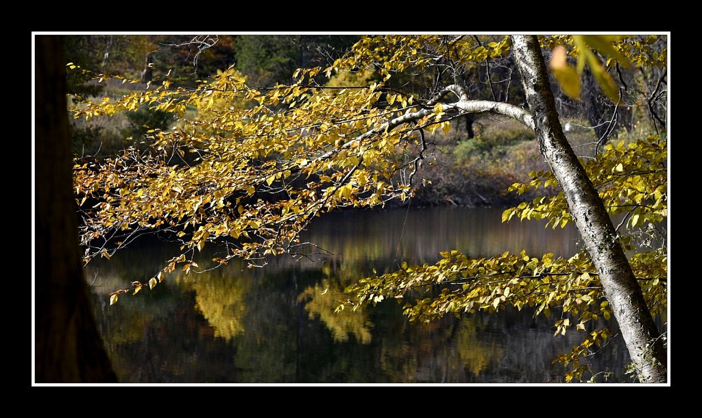 Lake George