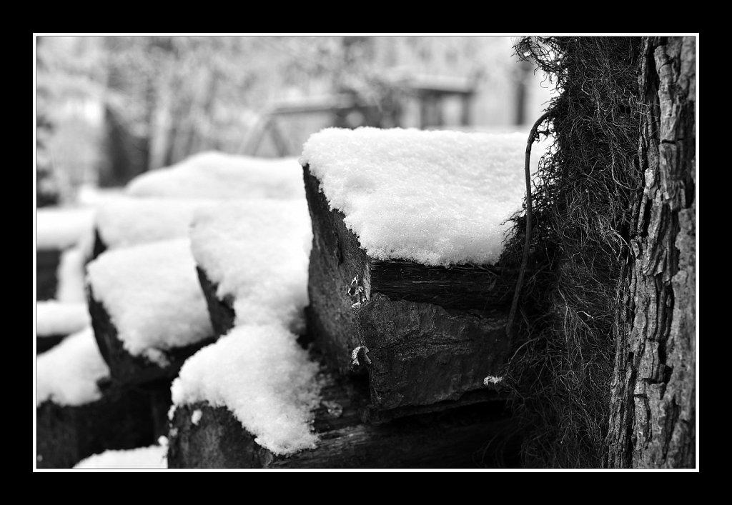 New Fallen Snow 