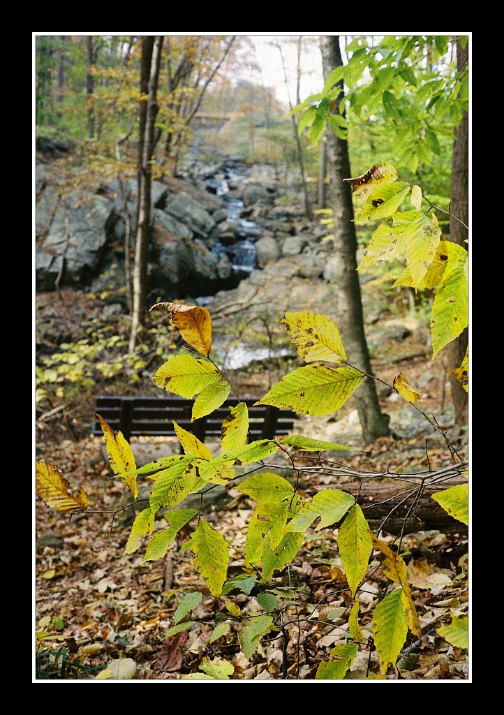 Schooley's Mountain Park