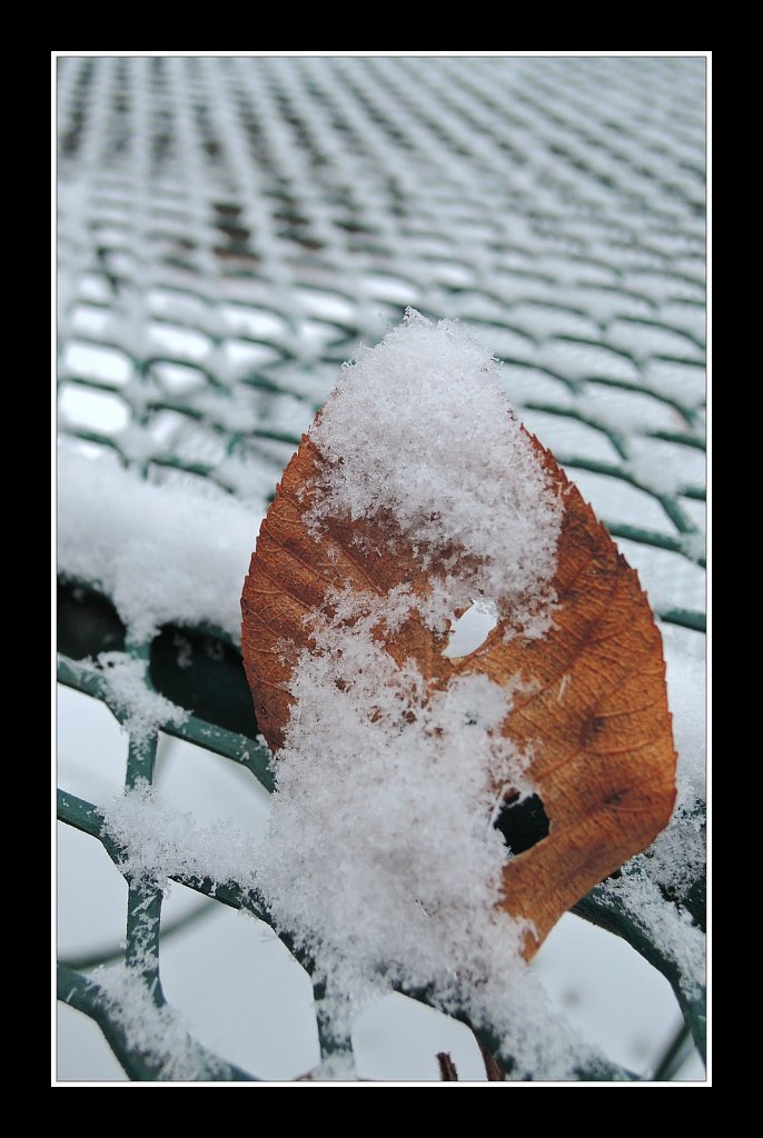 2019002F-DSCN1143.jpg