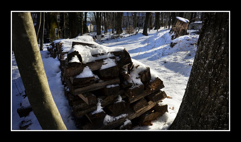 The Wood Pile