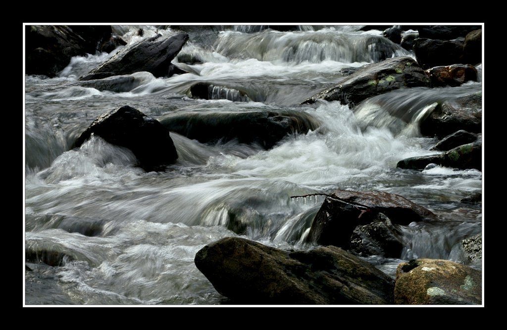 Jackson Brook