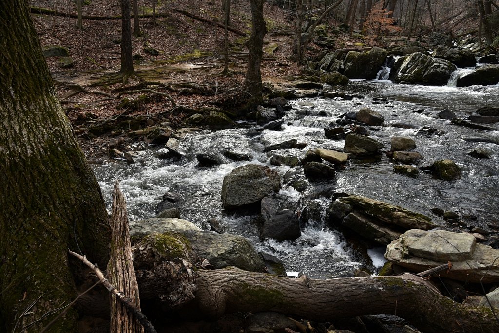 Hedden County Park