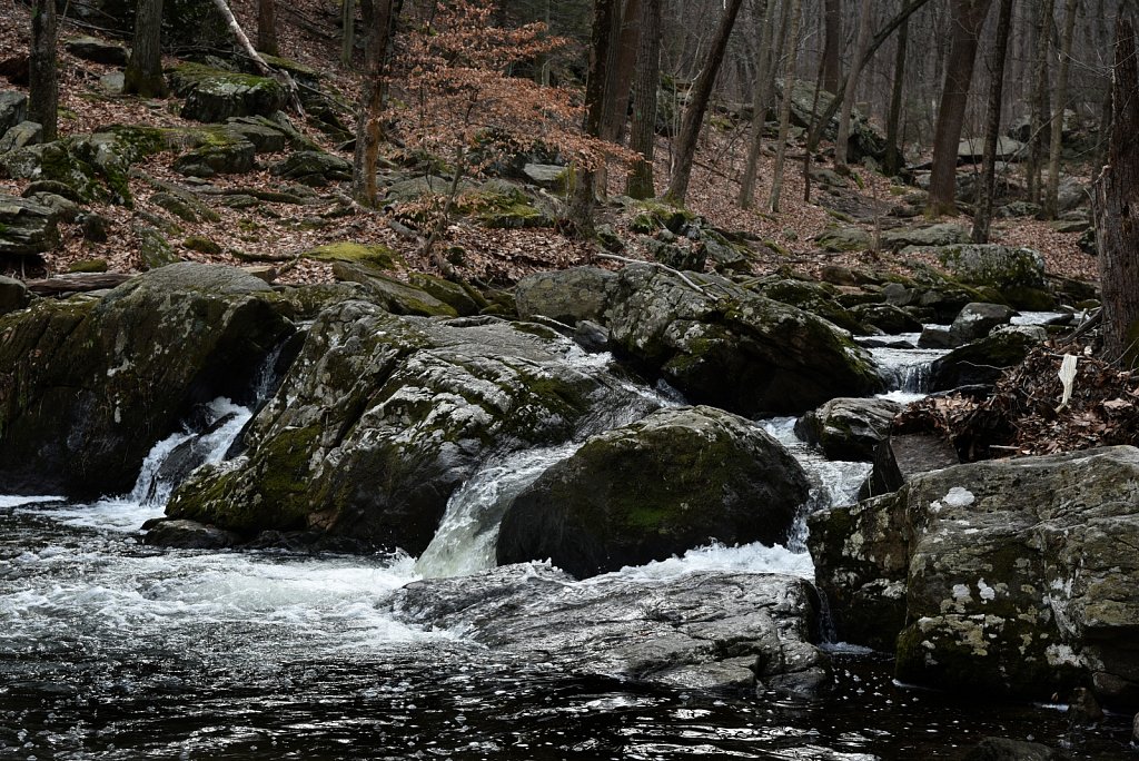 Hedden County Park