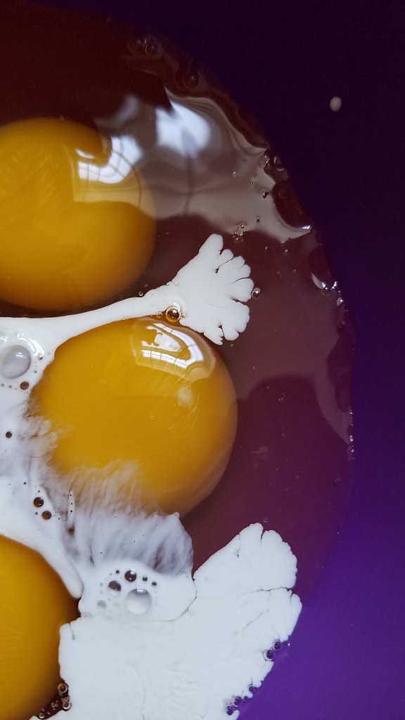 Project 365 + by Cheyenne Gigli