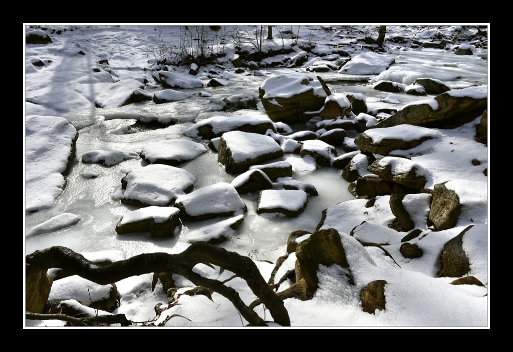 Jackson Brook