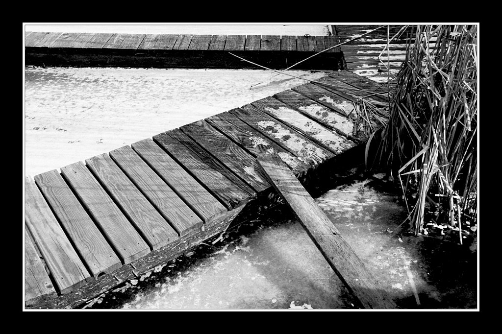 South Branch Raritan River