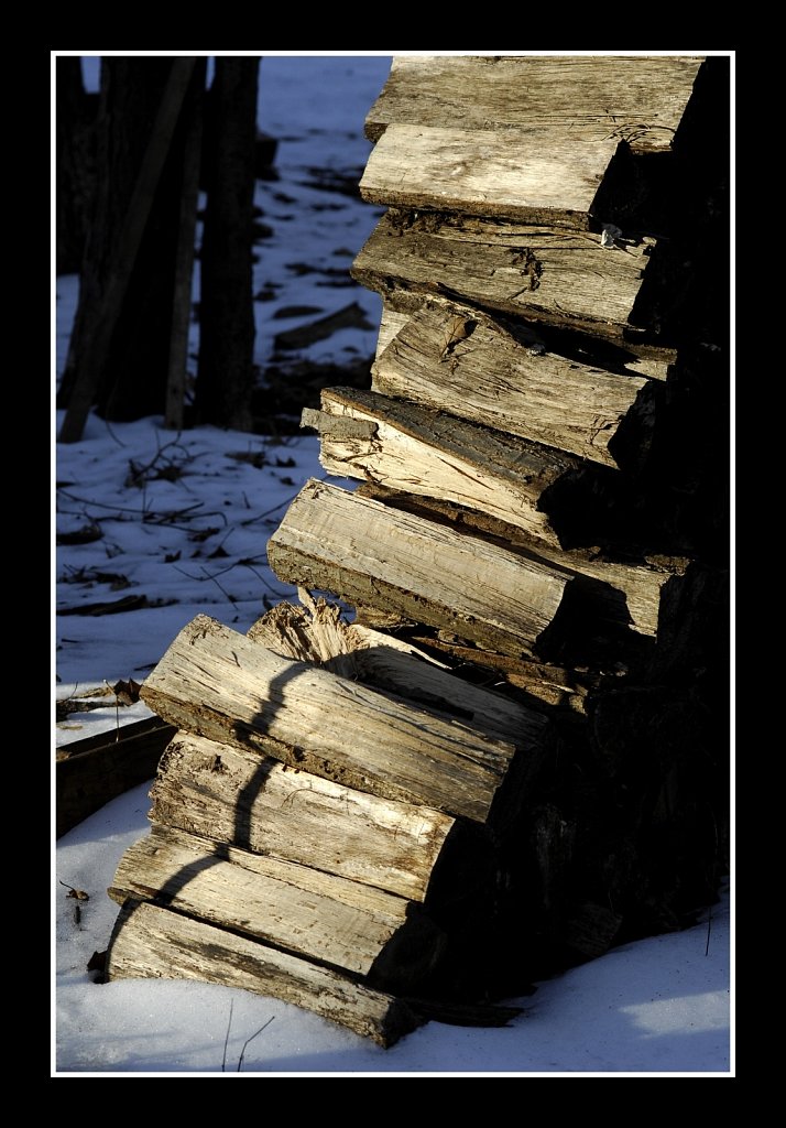 The Wood Pile