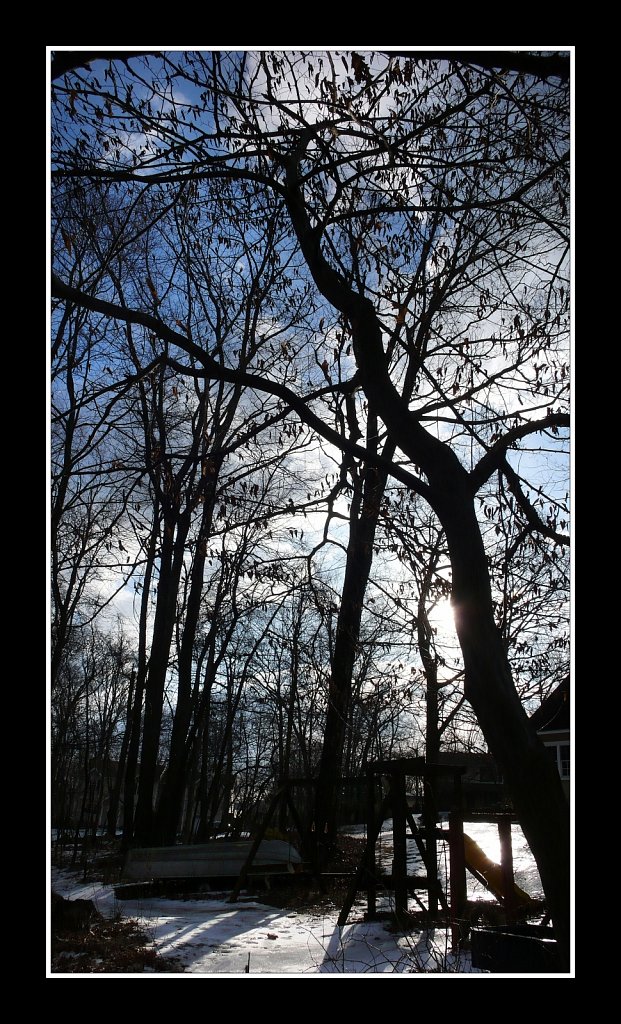 Morning Sun