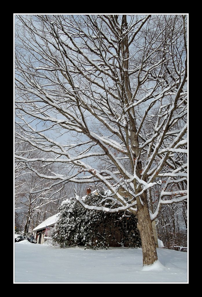 Winter Reaching Its End