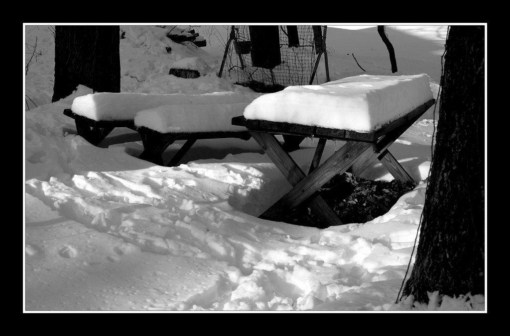 Snow Time For A Picnic