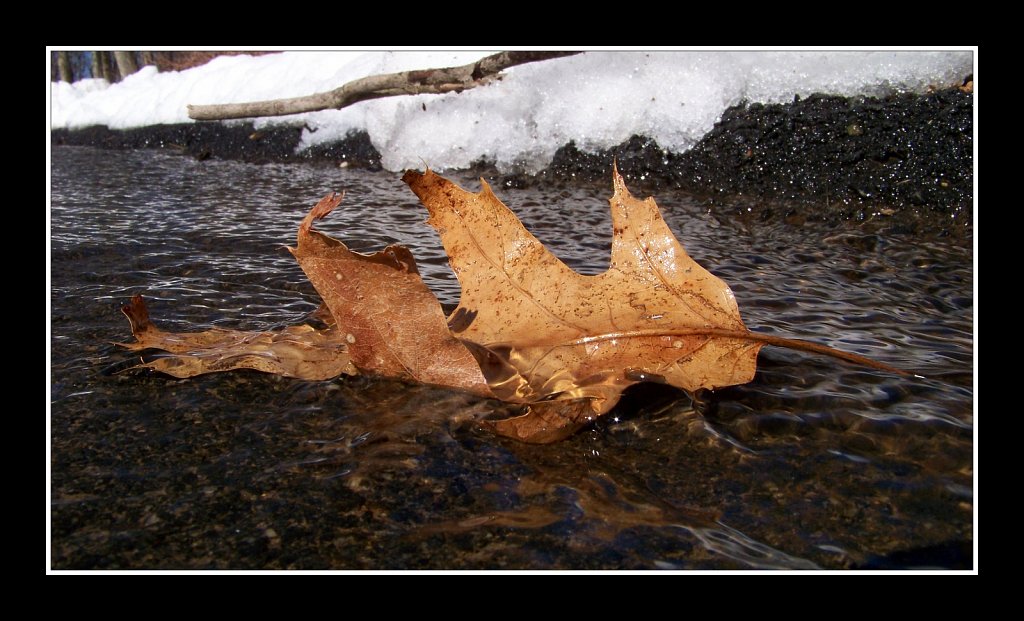 Melting Into Spring