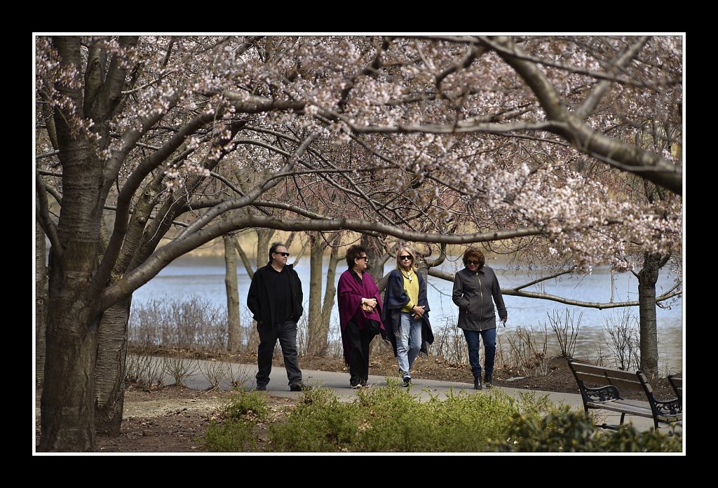 Branch Brook Park