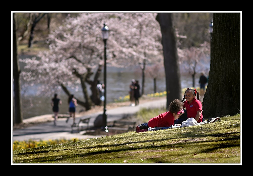 Branch Brook Park