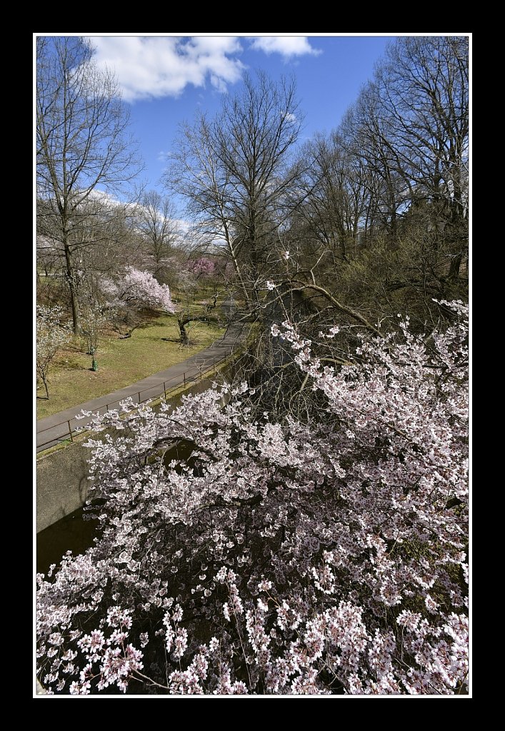 Branch Brook Park