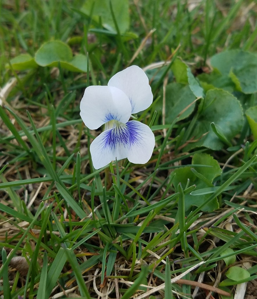 20190410-204304.jpg