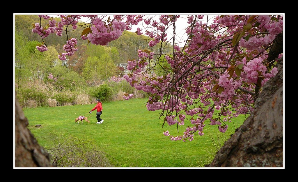 Hurd Park