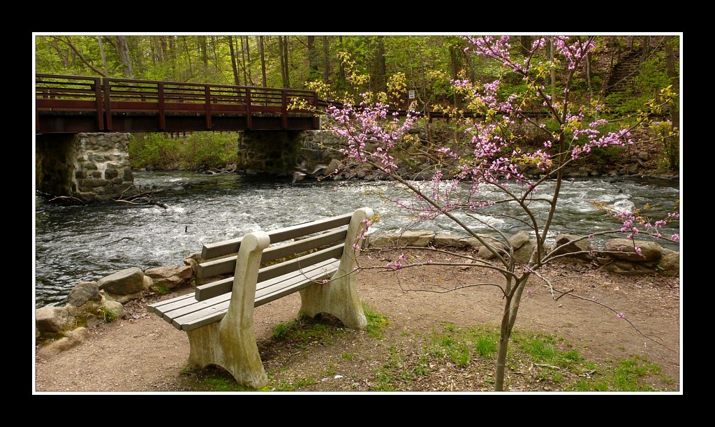 Stephens State Park