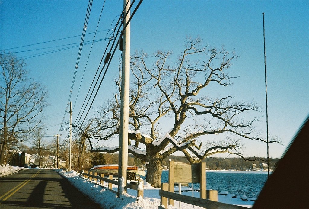 Roll1-8107Gigli-R1-32-5.JPG
