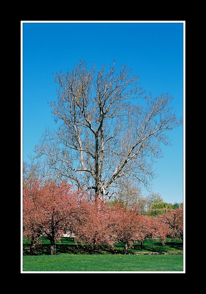 Hurd Park
